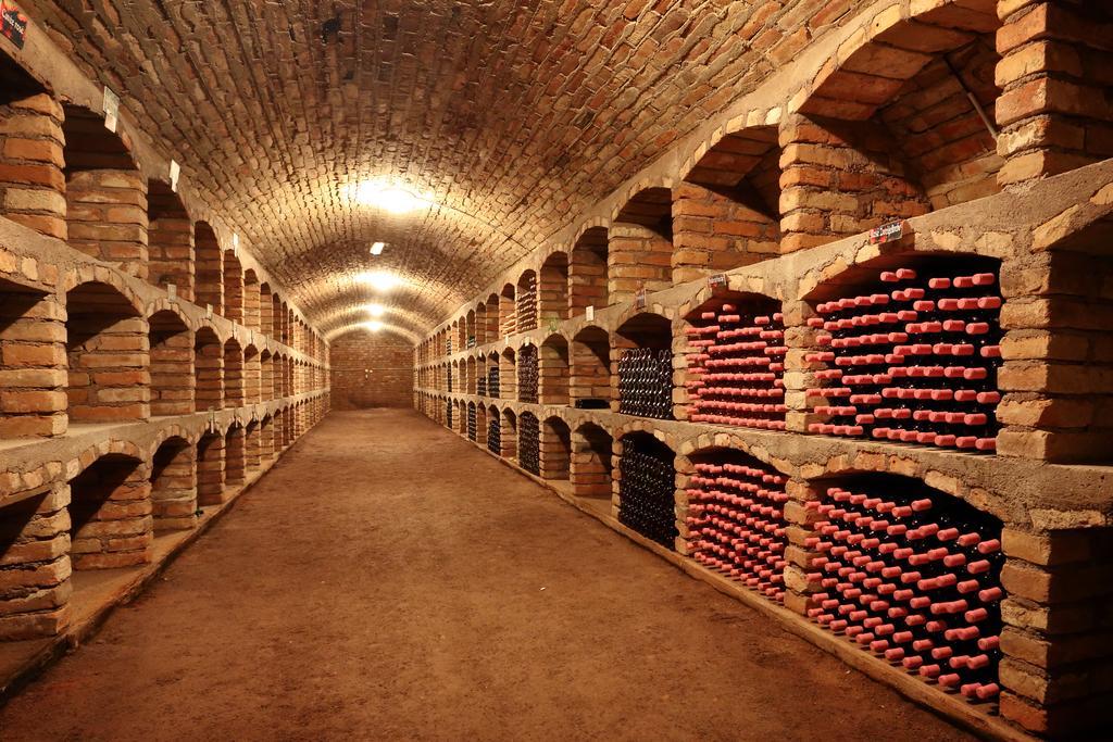 Šatov 萨托斯科酸橙旅馆酒店 外观 照片