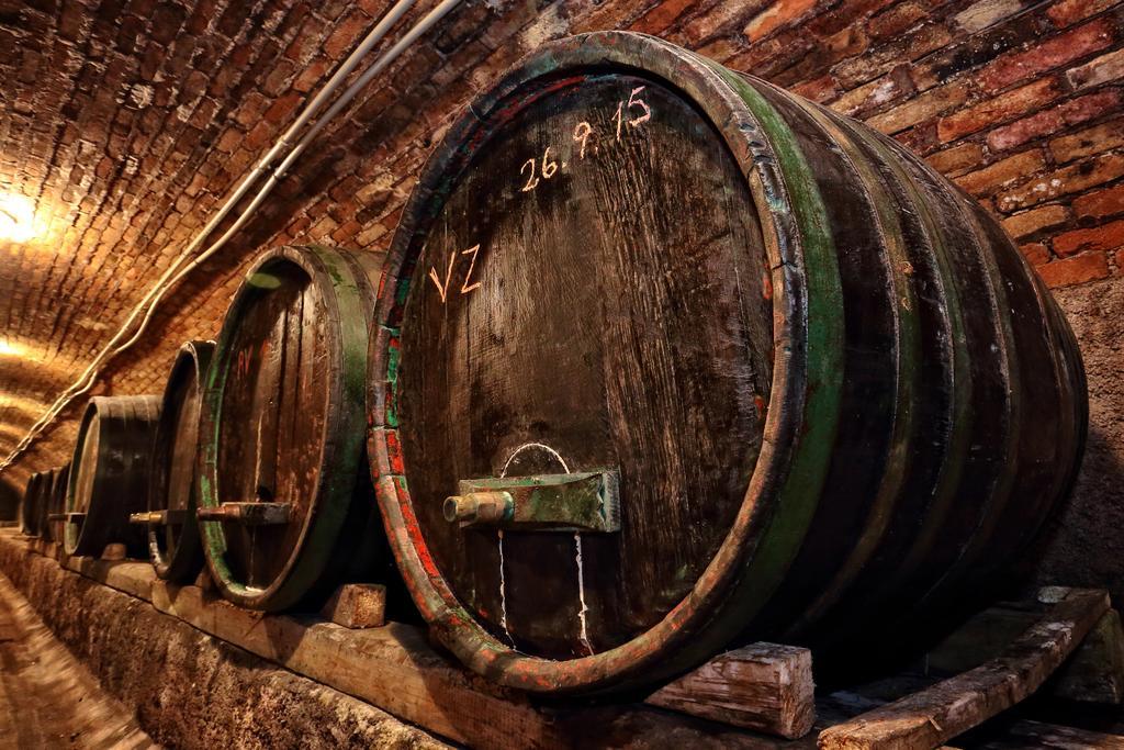 Šatov 萨托斯科酸橙旅馆酒店 外观 照片
