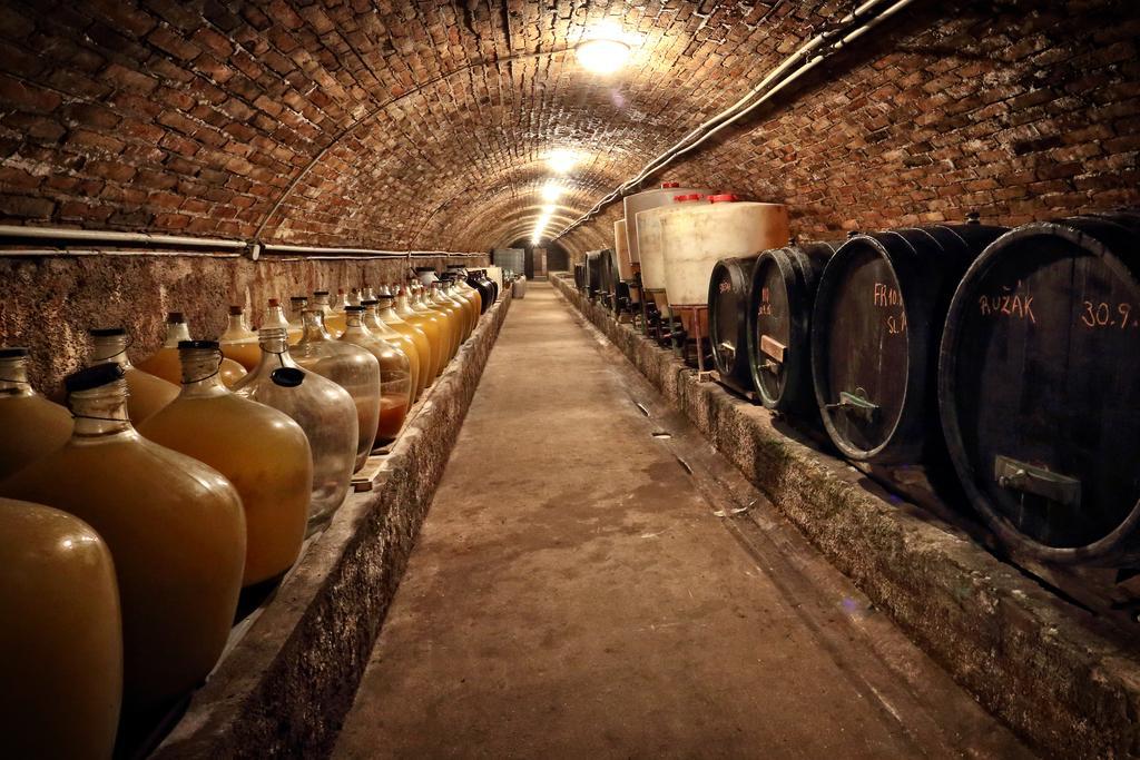 Šatov 萨托斯科酸橙旅馆酒店 外观 照片