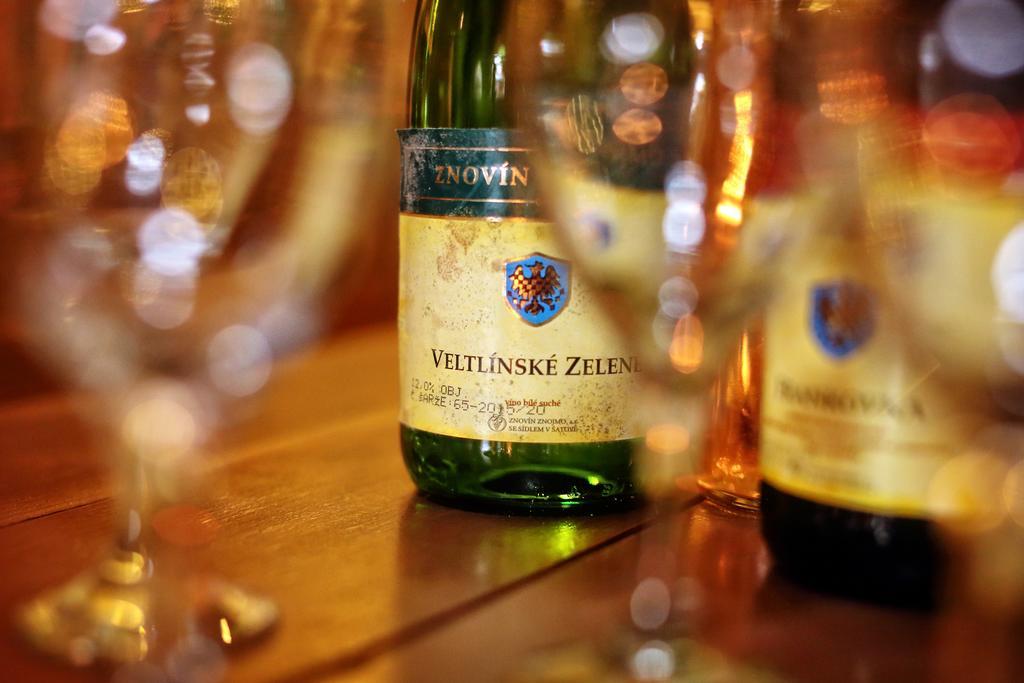 Šatov 萨托斯科酸橙旅馆酒店 外观 照片
