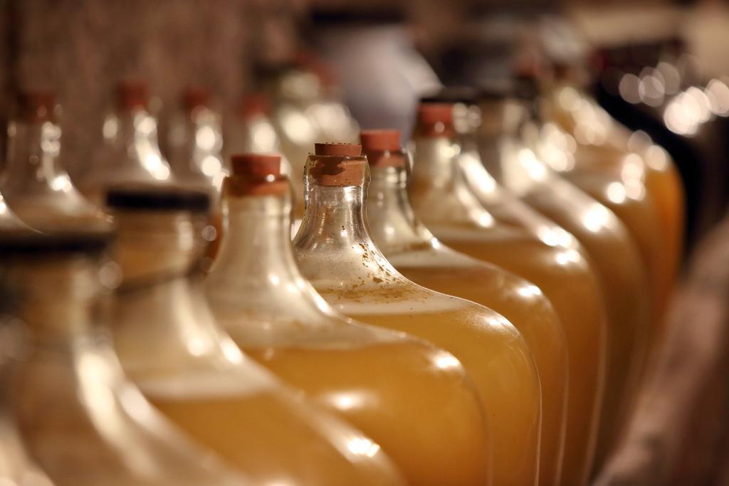 Šatov 萨托斯科酸橙旅馆酒店 外观 照片
